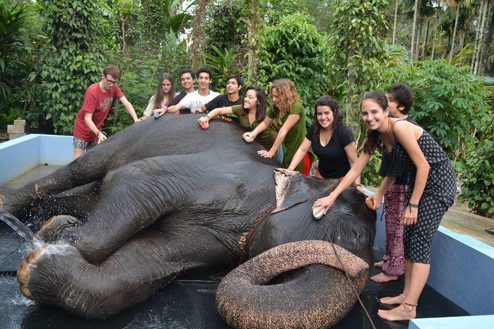 Green Leaf Home Stay Thekkady Exterior photo