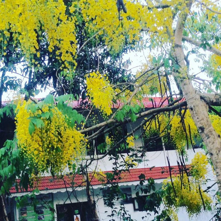 Green Leaf Home Stay Thekkady Exterior photo